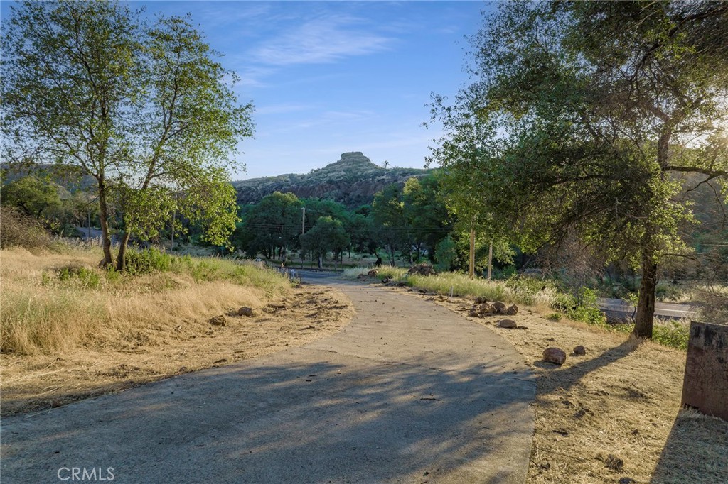 2470 Honey Run Road Chico, CA 95928 - Photo 25 of 71 a view of a dirt yard with a tree