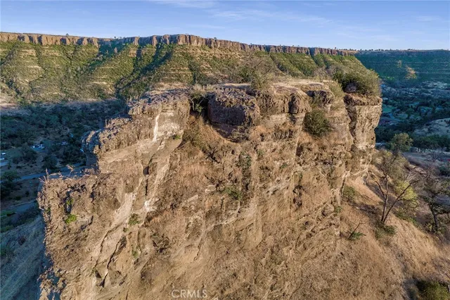 a view of a dry yard with lots of trees