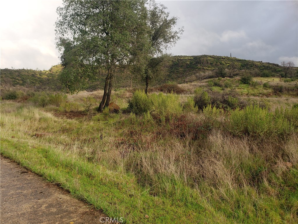 2470 Honey Run Road Chico, CA 95928 - Photo 47 of 71 a view of a yard with a tree
