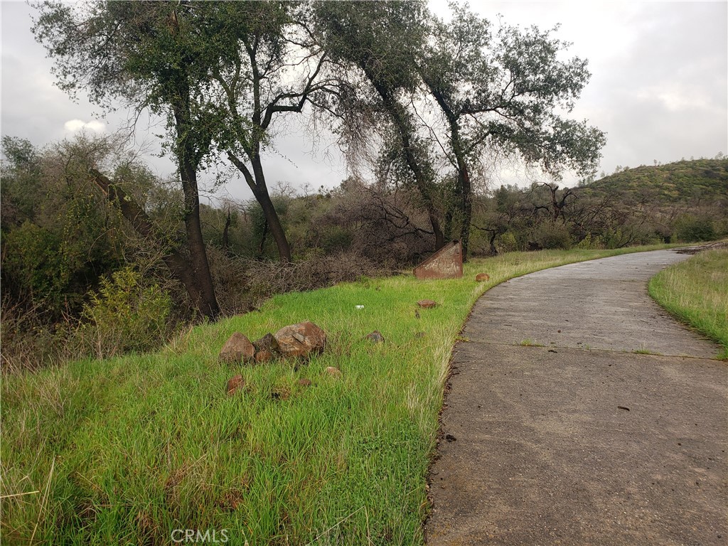 2470 Honey Run Road Chico, CA 95928 - Photo 48 of 71 a lush green forest with lots of trees