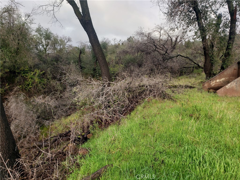 2470 Honey Run Road Chico, CA 95928 - Photo 50 of 71 a view of a lush green forest