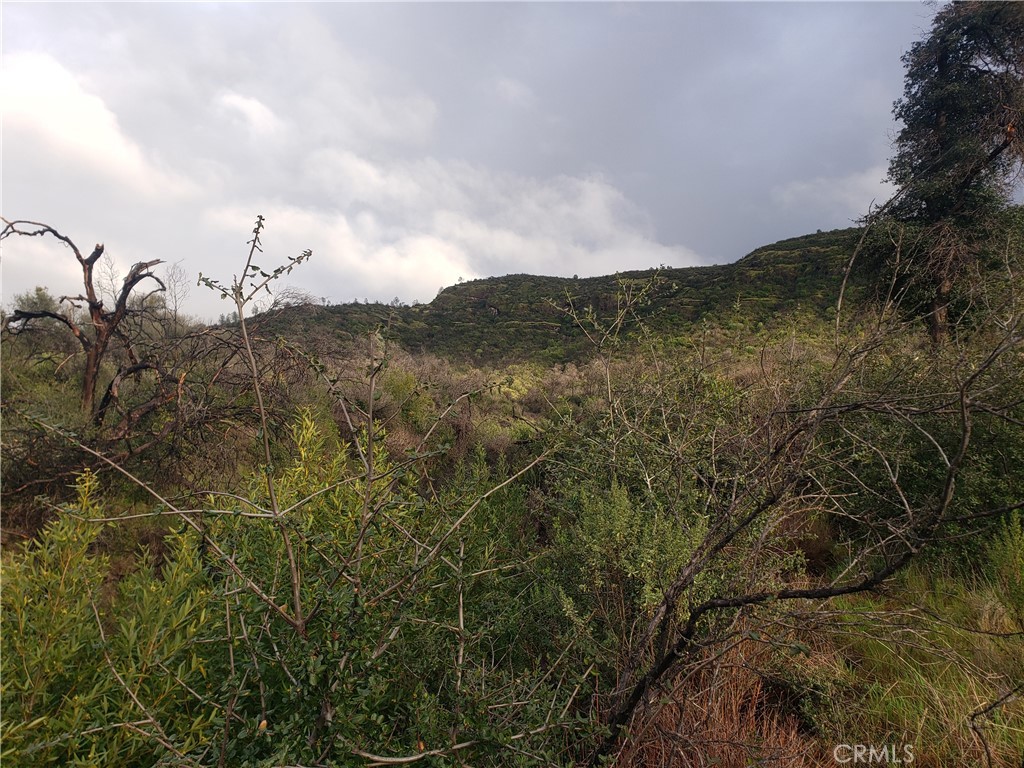 2470 Honey Run Road Chico, CA 95928 - Photo 52 of 71 a view of a yard