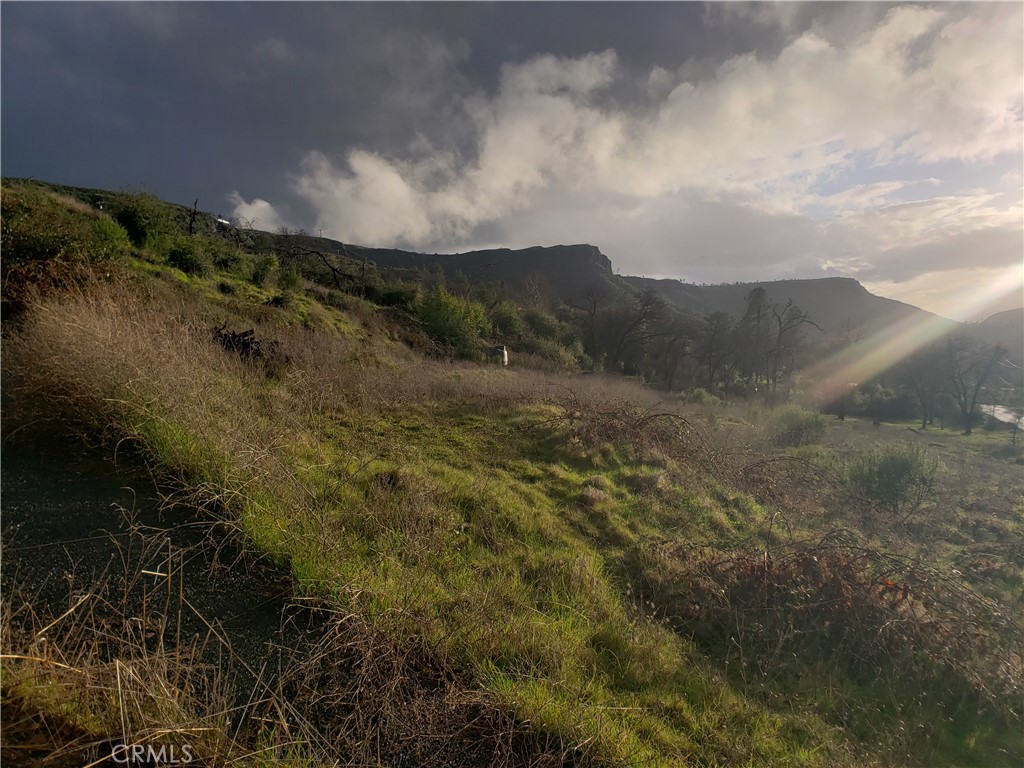 2470 Honey Run Road Chico, CA 95928 - Photo 55 of 71 a view of a dry yard with lots of trees
