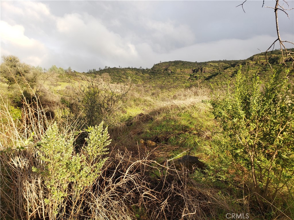 2470 Honey Run Road Chico, CA 95928 - Photo 58 of 71 a view of lake