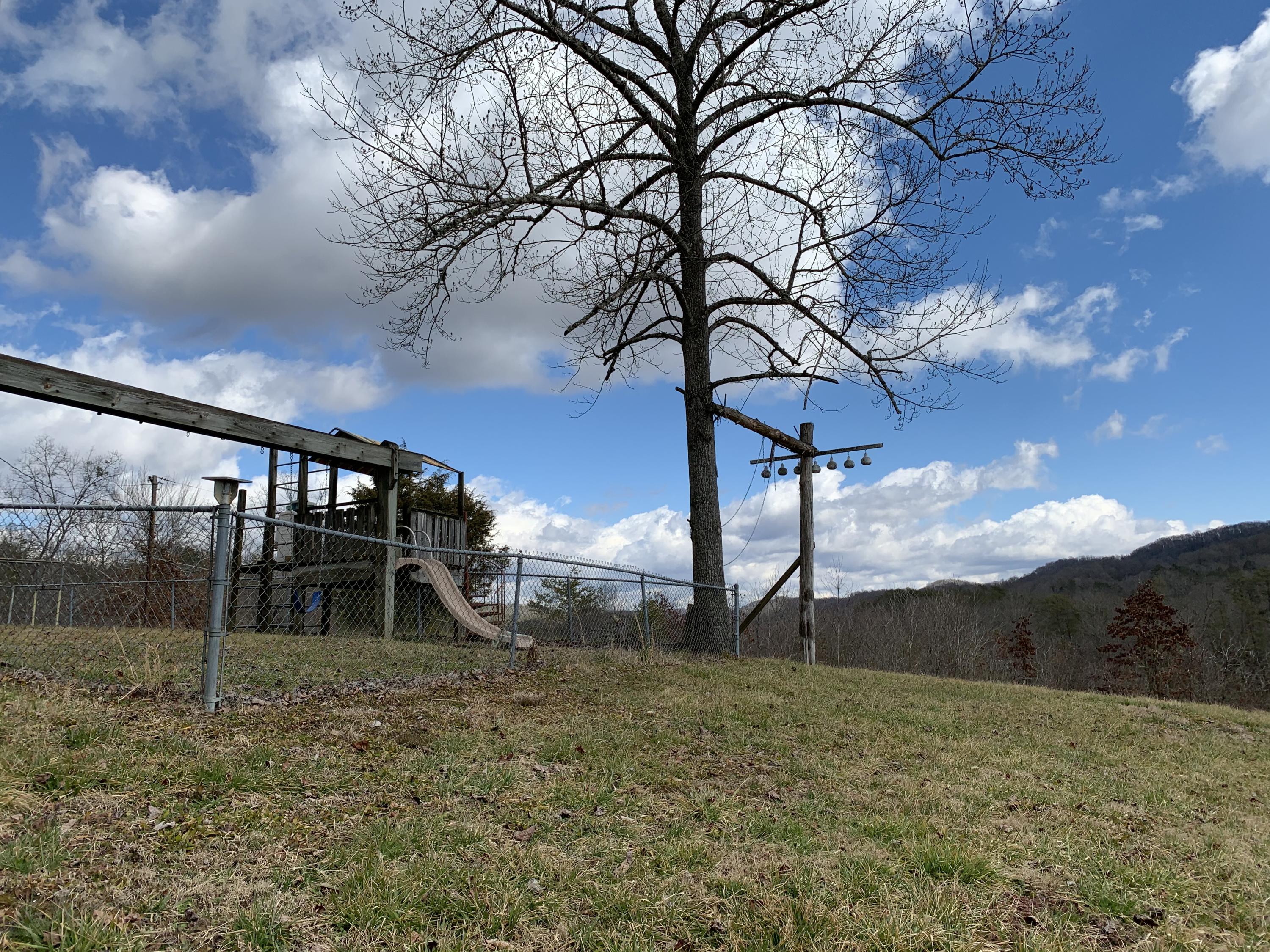 306 Brock Road Maynardville, TN 37807 - Photo 2 of 29 SideFencedYard andPlayset