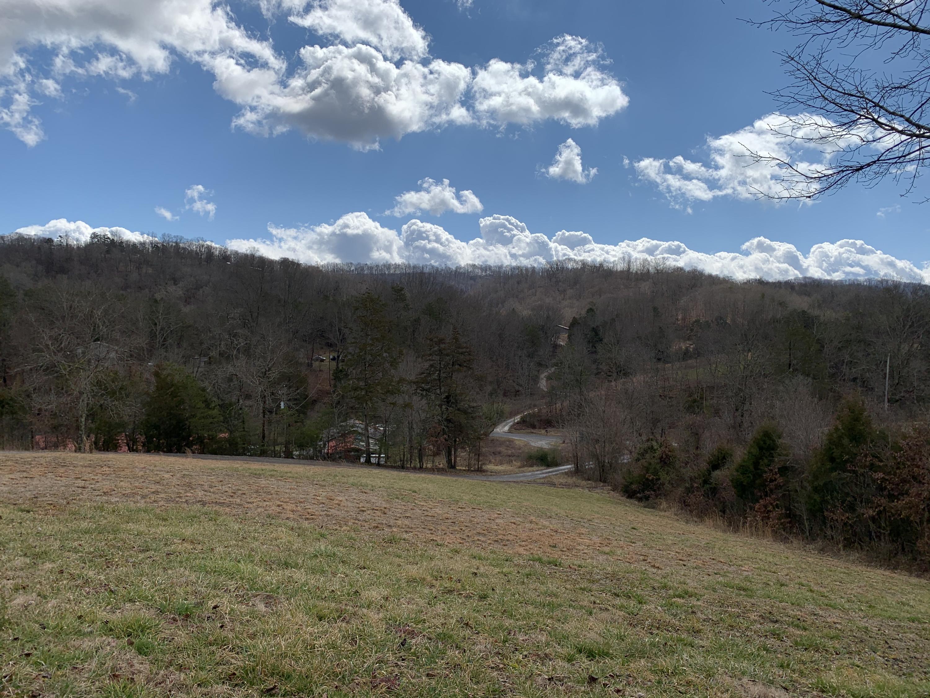 306 Brock Road Maynardville, TN 37807 - Photo 4 of 29 ViewfromFront Porch