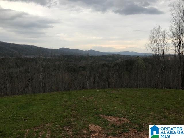 5300 Idaho Road, Unit 200 Talladega, AL 35160 - Photo 11 of 14