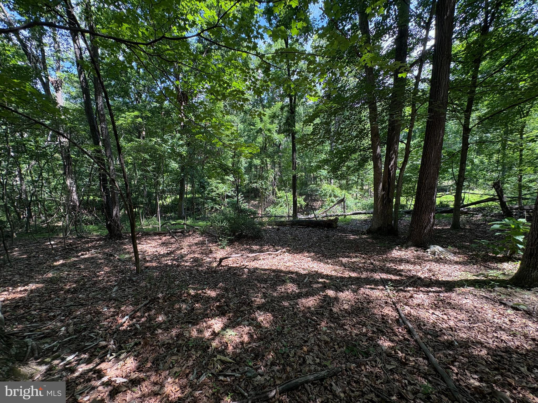 16 Rolling Acres Road Old Fields, WV 26845 - Photo 3 of 21