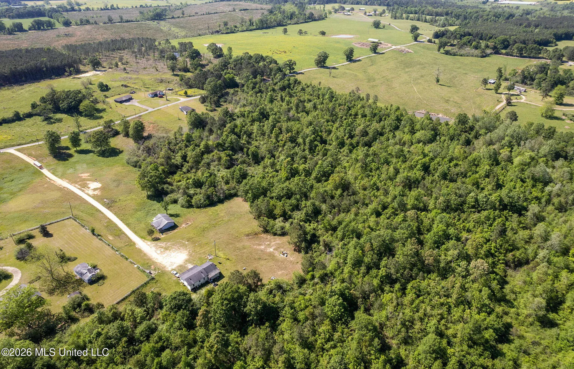 Pine View Road Collins, MS 39428 - Photo 4 of 10 2026-09-14_08-51-57