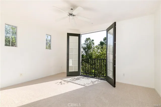 a view of a park with large trees