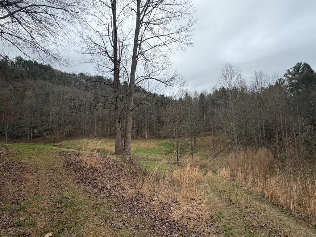 9.89-ac Patterson Lane Blue Ridge, GA 30513 - Photo 1 of 1 Main View