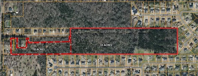 a view of a bunch of flowers