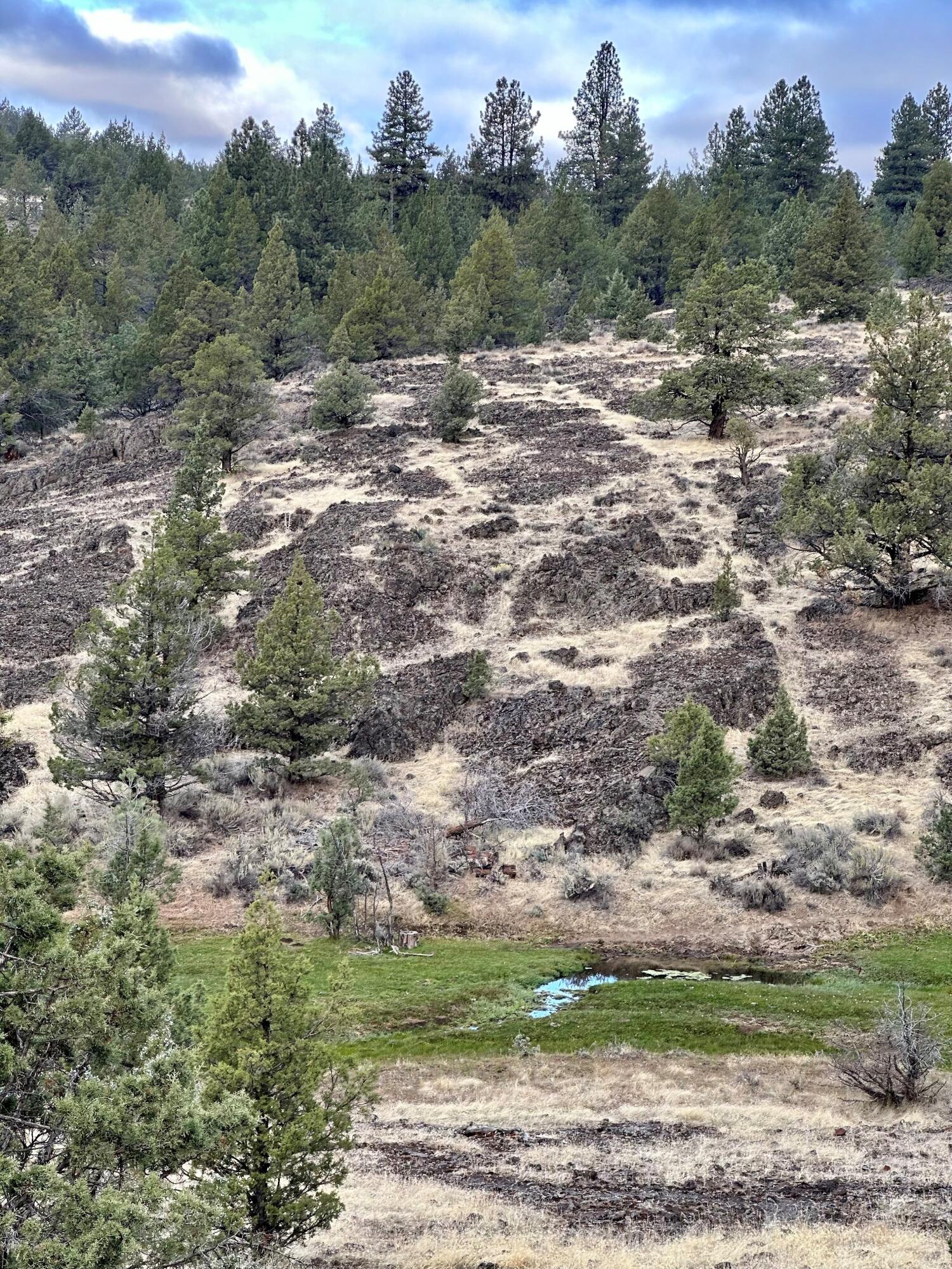 88 Co Road Adin, CA 96006 - Photo 11 of 16 10-03-23 - c - 100 ac