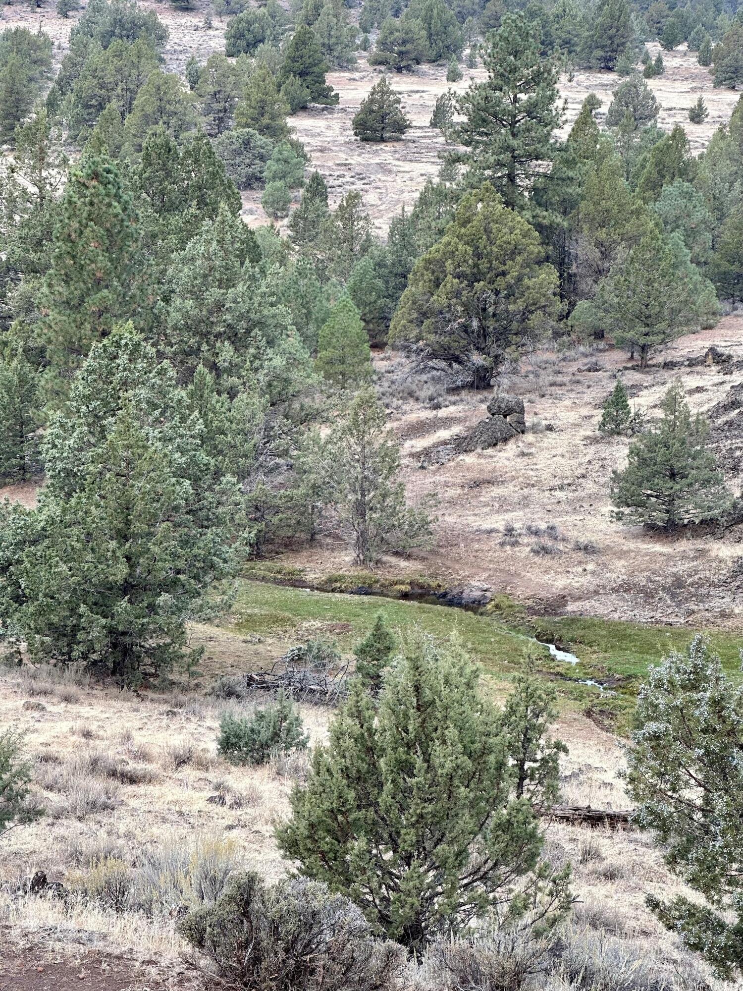 88 Co Road Adin, CA 96006 - Photo 12 of 16 10-03-23 - d - 100 ac