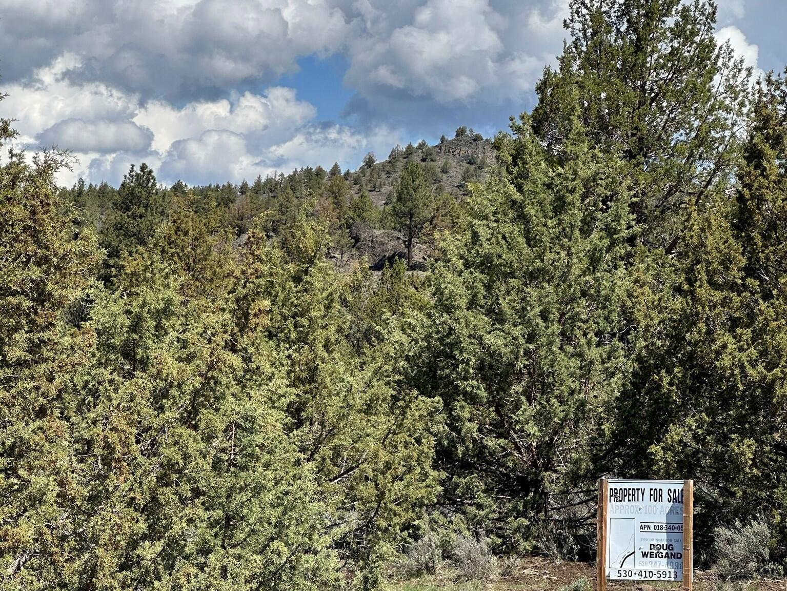 88 Co Road Adin, CA 96006 - Photo 5 of 16 3 100 ac Landscape