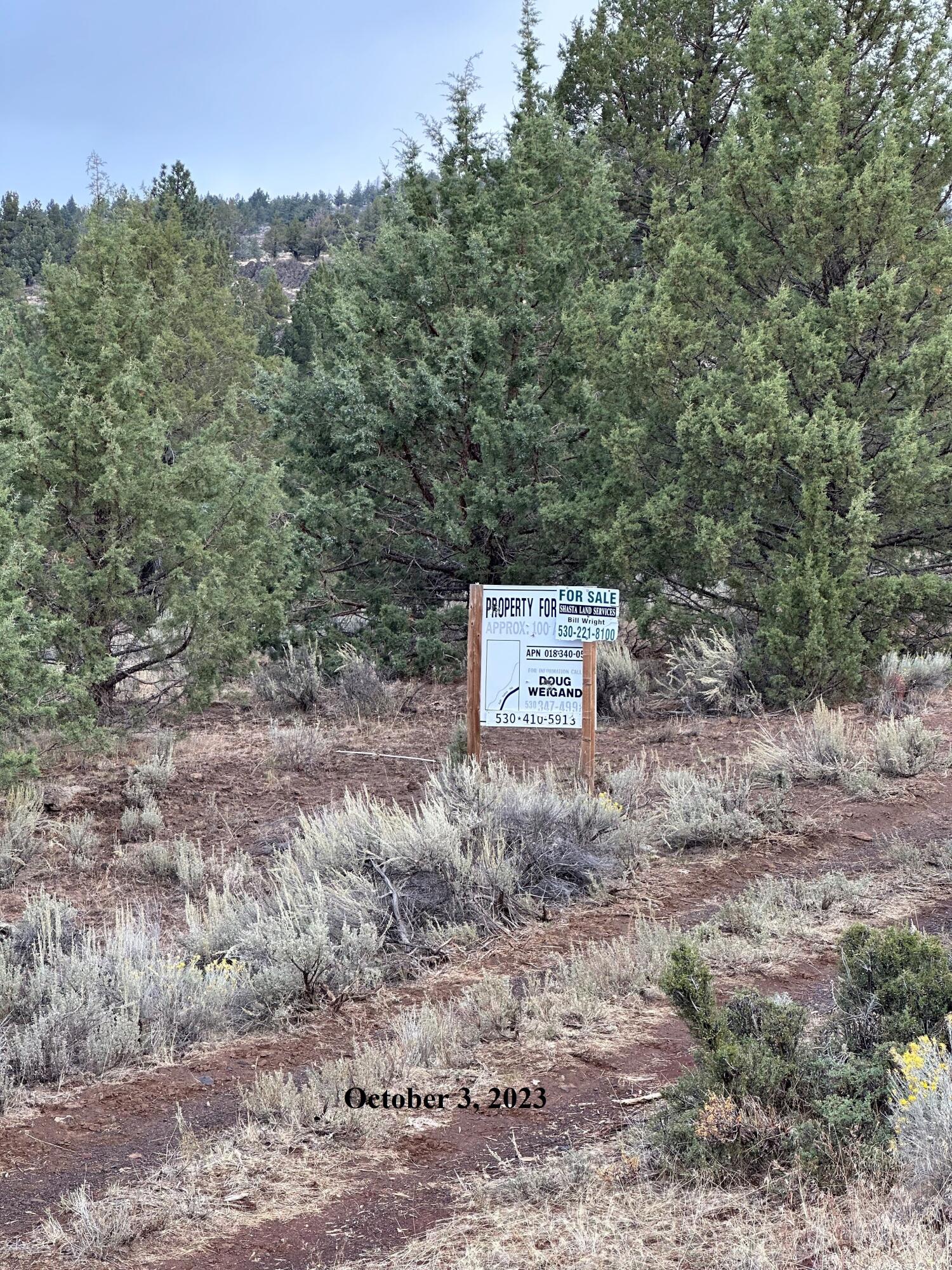 88 Co Road Adin, CA 96006 - Photo 6 of 16 10-03-23 - a - 100 ac
