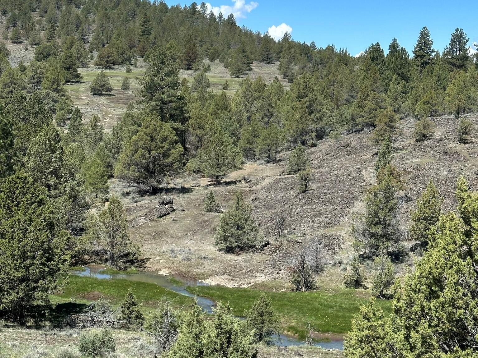 88 Co Road Adin, CA 96006 - Photo 8 of 16 5 100 ac Landscape