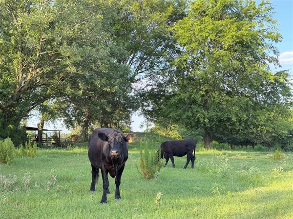 $299,000 | 4260 Mount Pleasant Tx 75455, Mount Pleasant, TX 75455