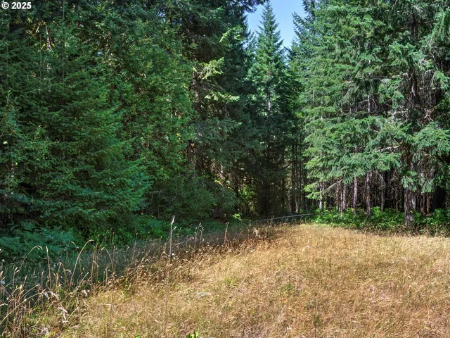 a backyard of a house with lots of plants and tree