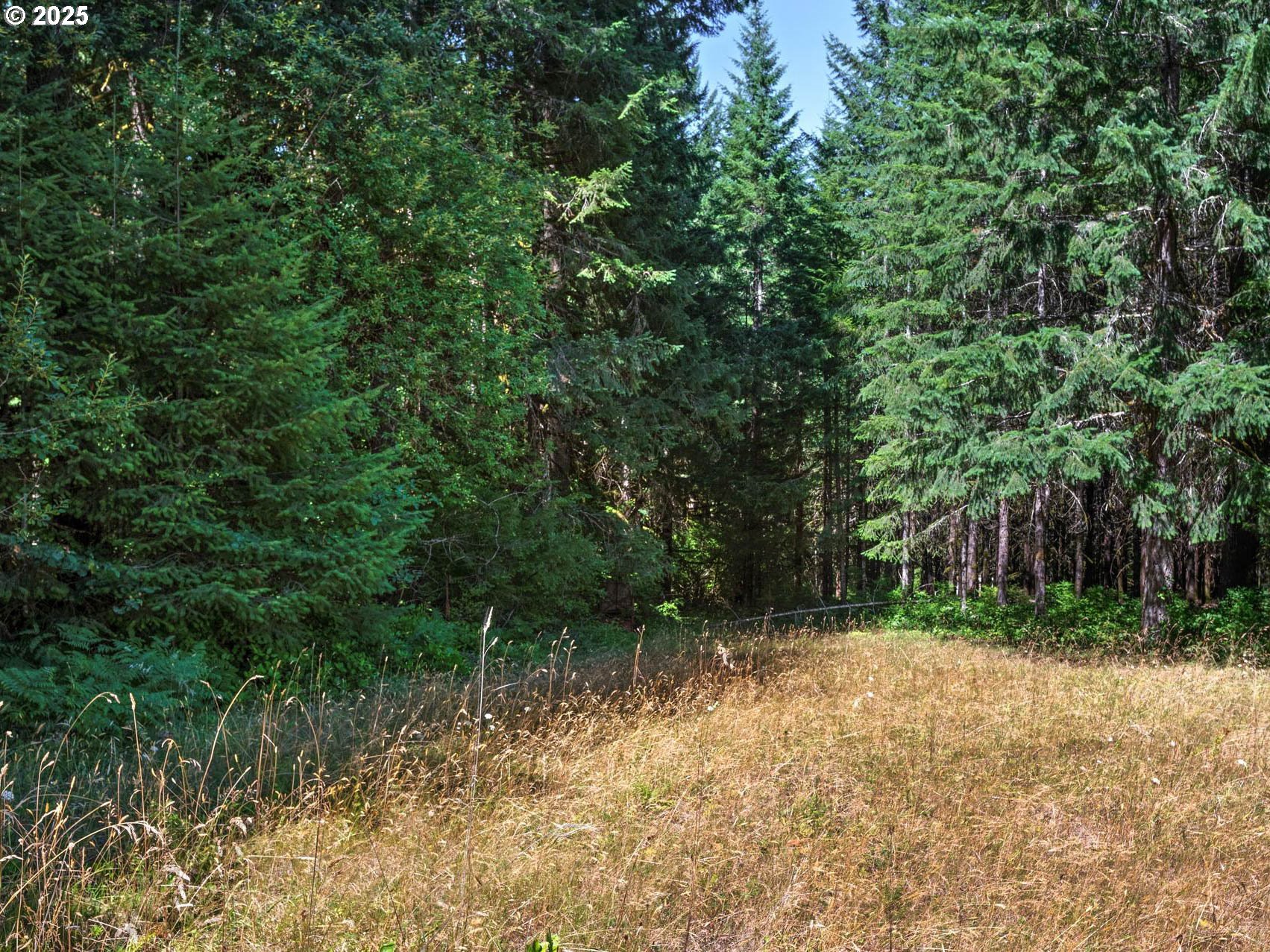 25420 Northwest Pumpkin Ridge Road North Plains, OR 97133 - Photo 17 of 41 a backyard of a house with lots of plants and tree