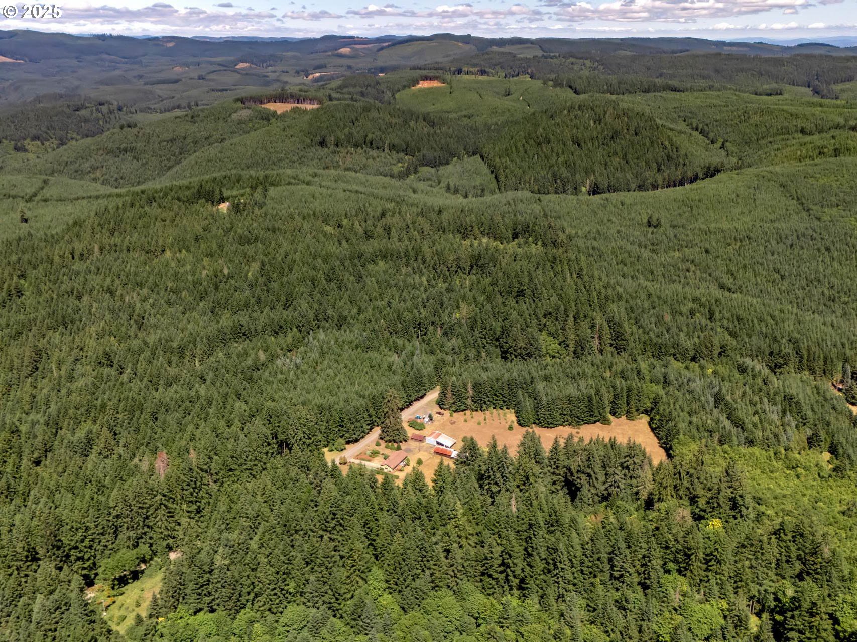 25420 Northwest Pumpkin Ridge Road North Plains, OR 97133 - Photo 2 of 41 a view of a forest with a lush green forest