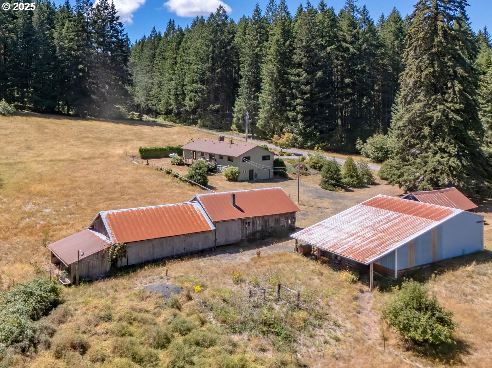 25420 Northwest Pumpkin Ridge Road North Plains, OR 97133 - Photo 27 of 41 a wooden bench sitting in the middle of a yard