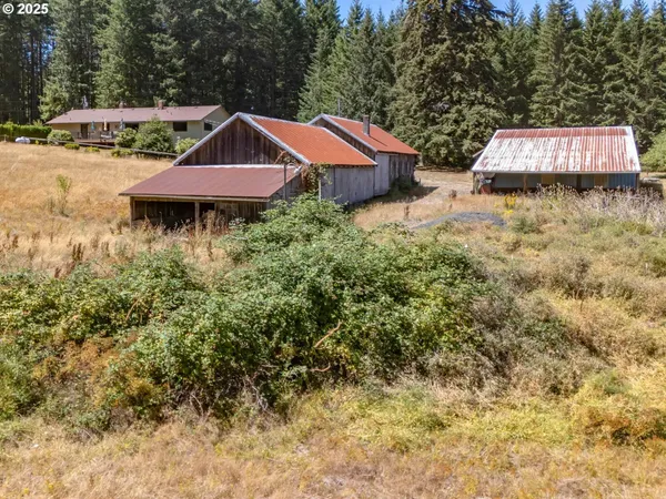 a view of a yard with plants
