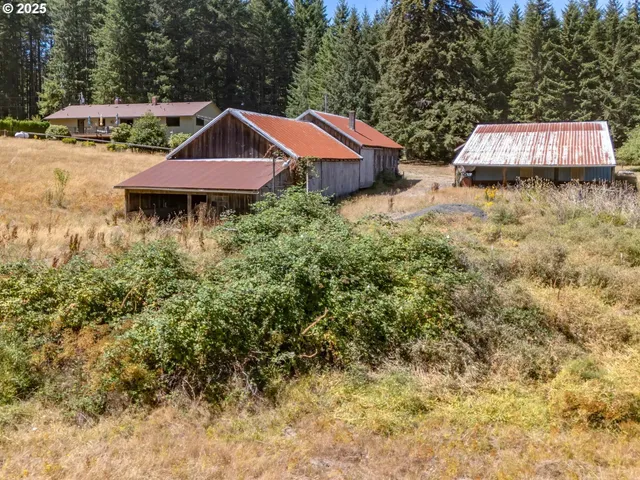 a view of a yard with plants