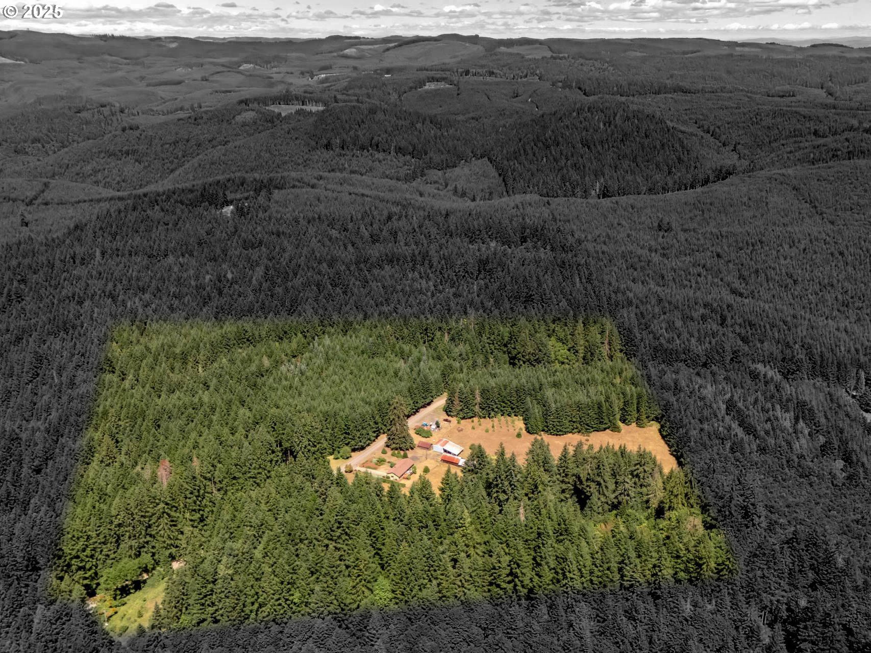 25420 Northwest Pumpkin Ridge Road North Plains, OR 97133 - Photo 3 of 41 a backyard of a house