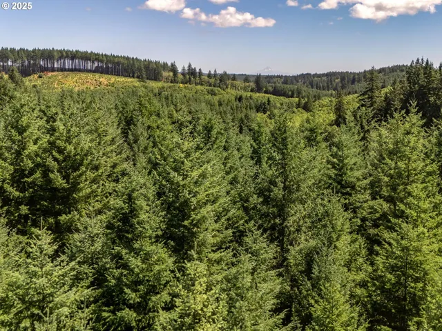 a view of a city and a lake