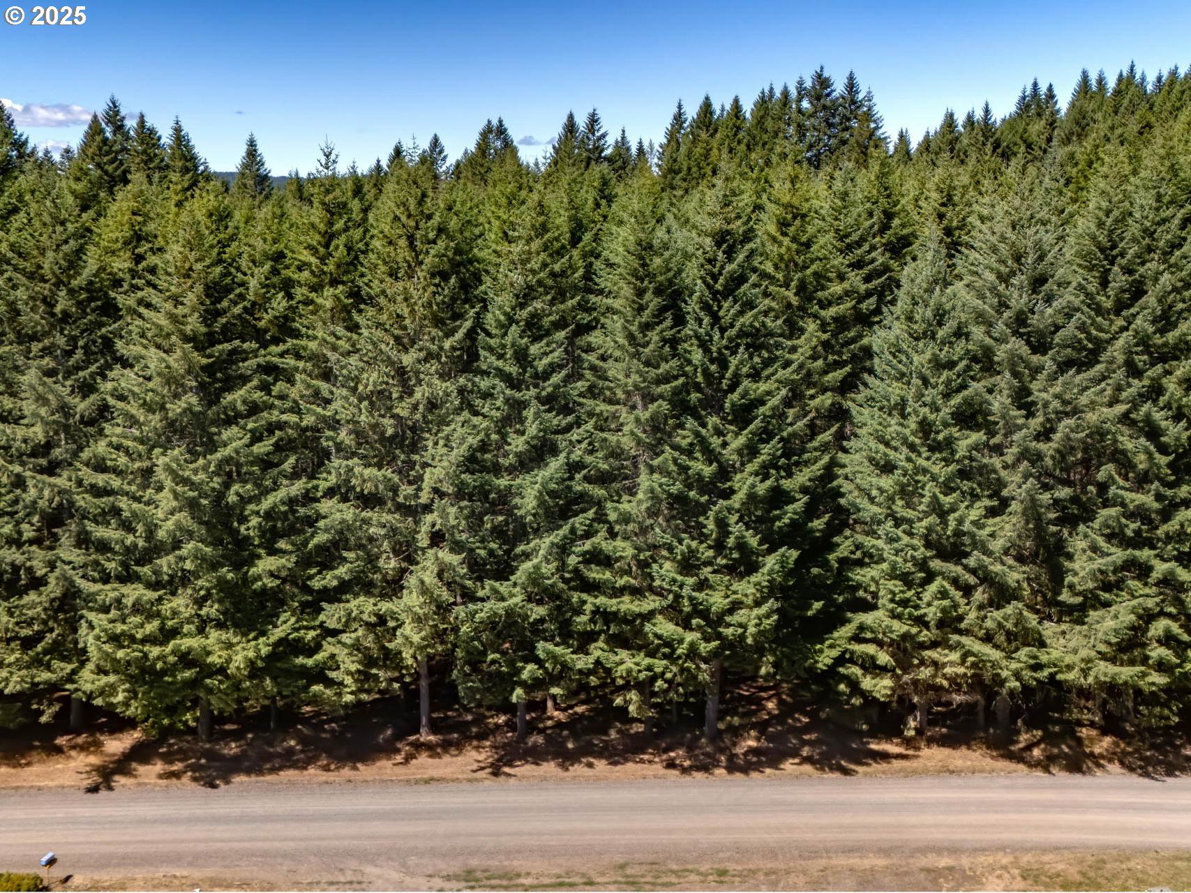 25420 Northwest Pumpkin Ridge Road North Plains, OR 97133 - Photo 34 of 41 a view of a yard