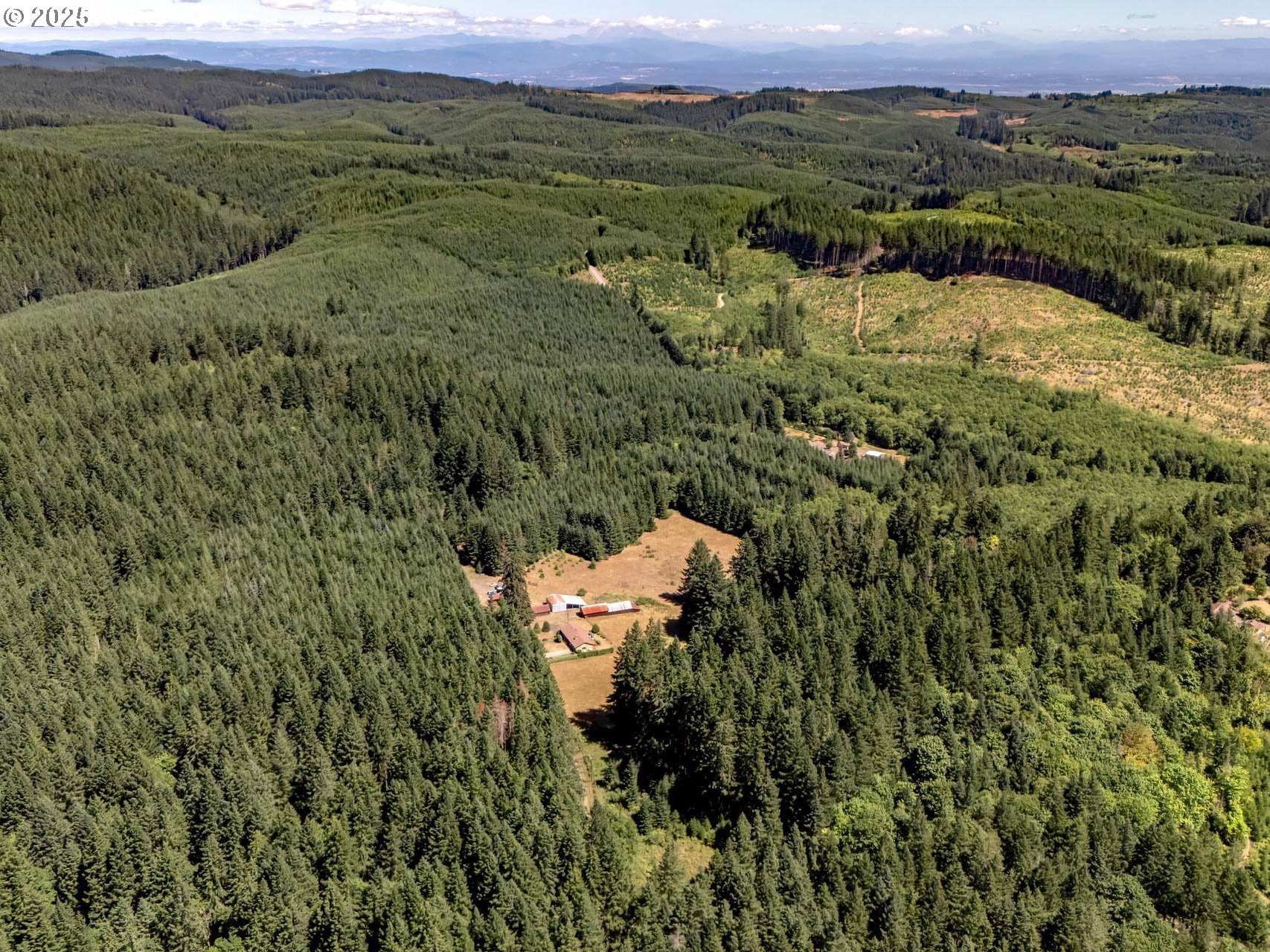 25420 Northwest Pumpkin Ridge Road North Plains, OR 97133 - Photo 39 of 41 an aerial view of a house with lots of trees