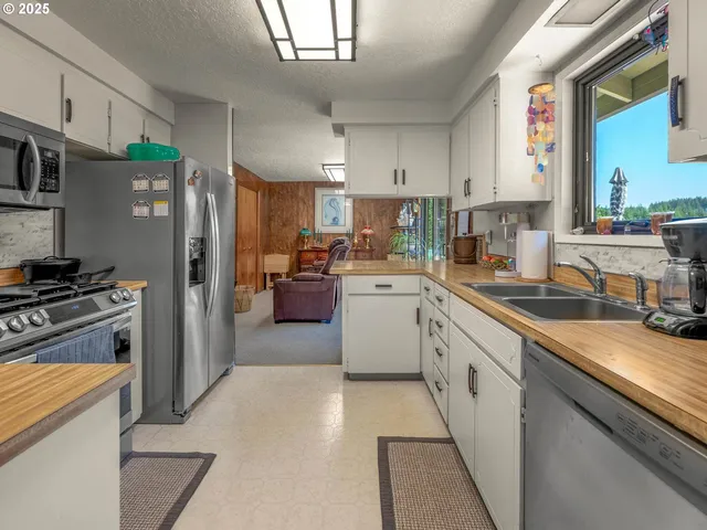 a kitchen with a sink a counter top space stainless steel appliances and cabinets