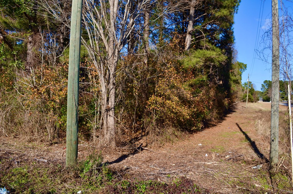 395 Loring Mill Road Sumter, SC 29150 - Photo 4 of 8