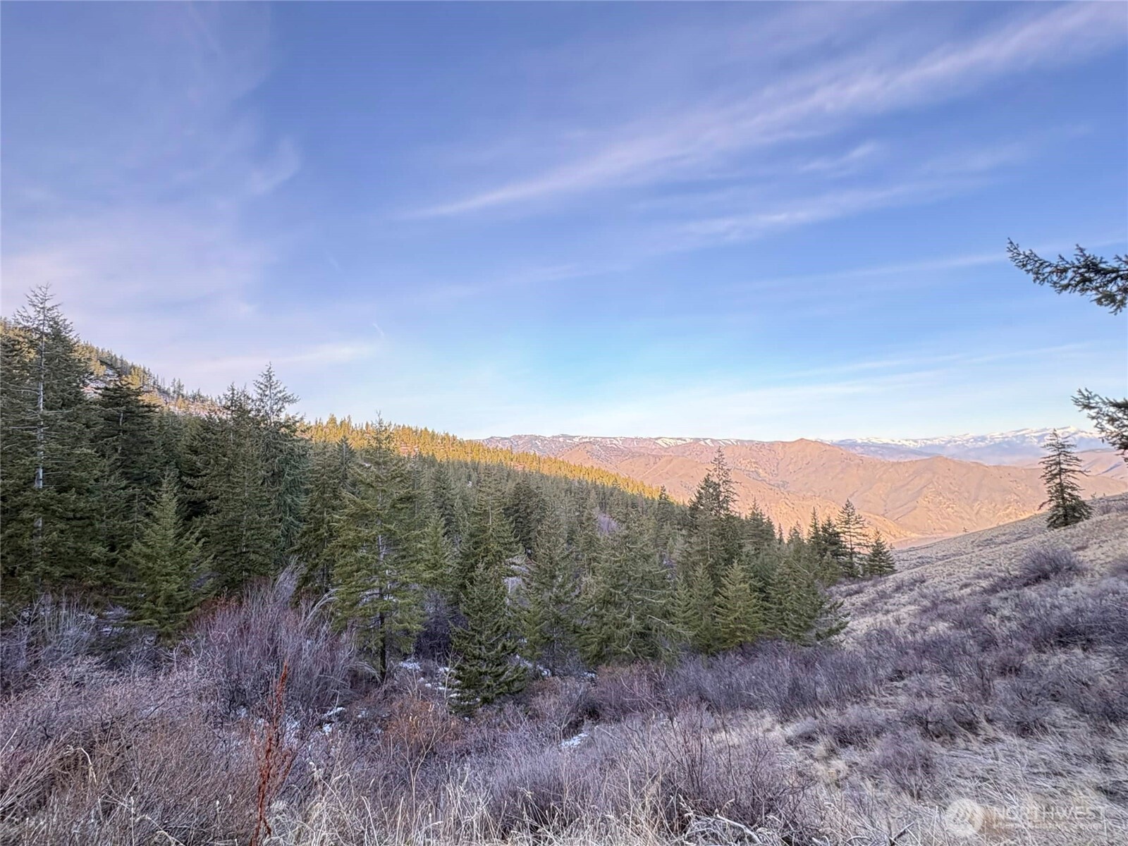 -xx Miracle Road Orondo, WA 98843 - Photo 15 of 16 Gallery Image 15