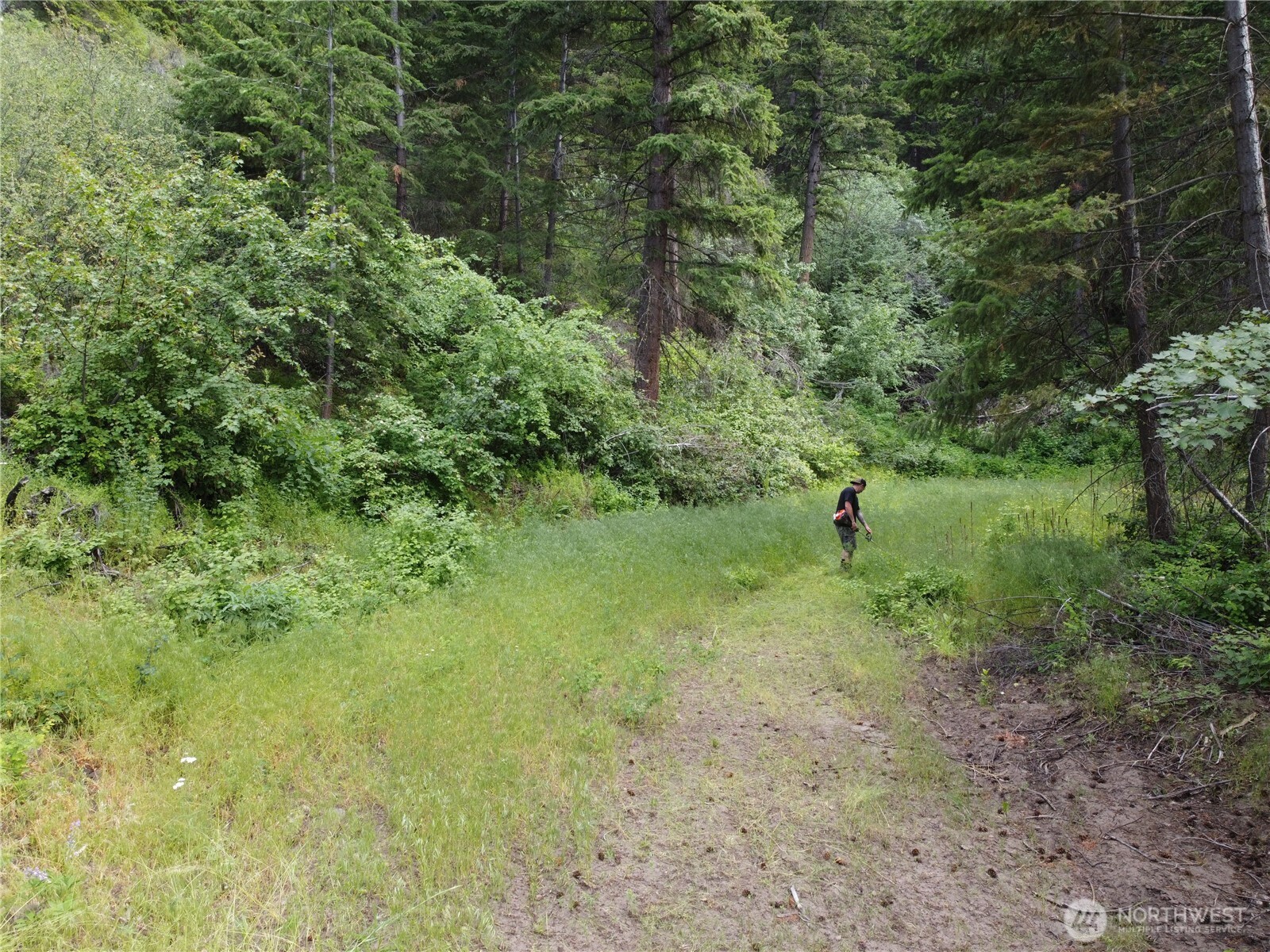 -xx Miracle Road Orondo, WA 98843 - Photo 6 of 16 Gallery Image 6