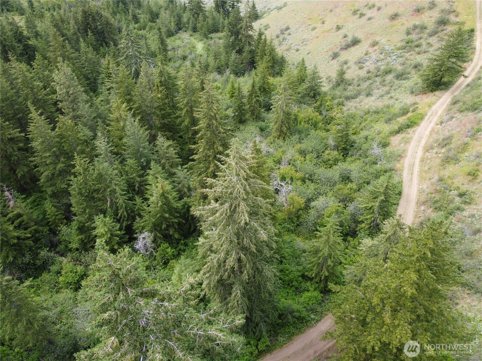 -xx Miracle Road Orondo, WA 98843 - Photo 7 of 16 Gallery Image 7