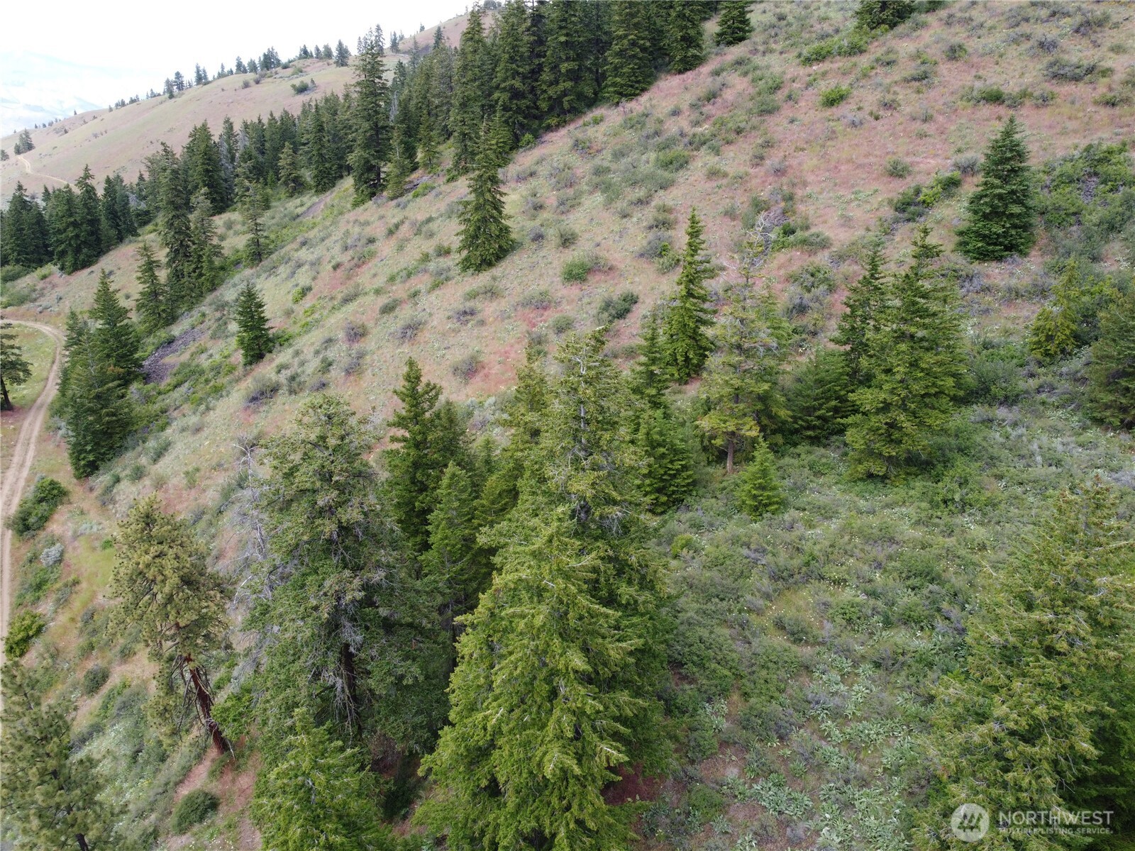 -xx Miracle Road Orondo, WA 98843 - Photo 10 of 16 Gallery Image 10
