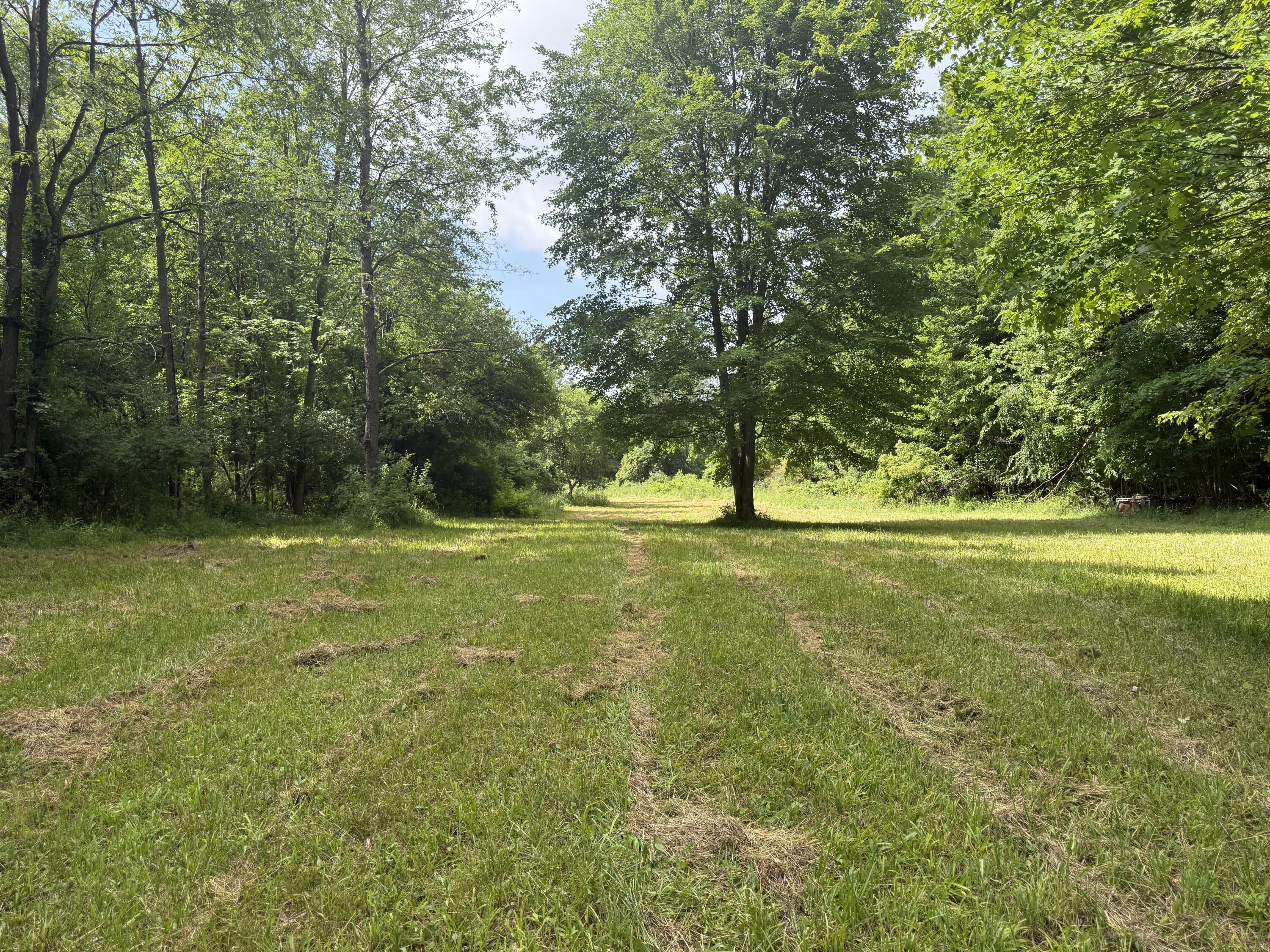 Hagerman Road Leonard, MI 48367 - Photo 4 of 51 g