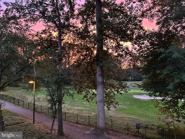 a view of a park with plants and large trees