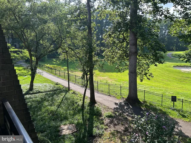 a view of a tree in a yard