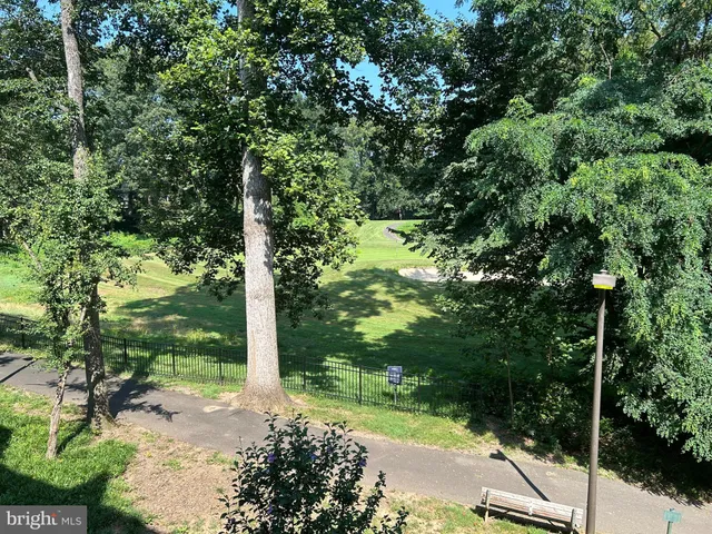 a view of a park with large trees