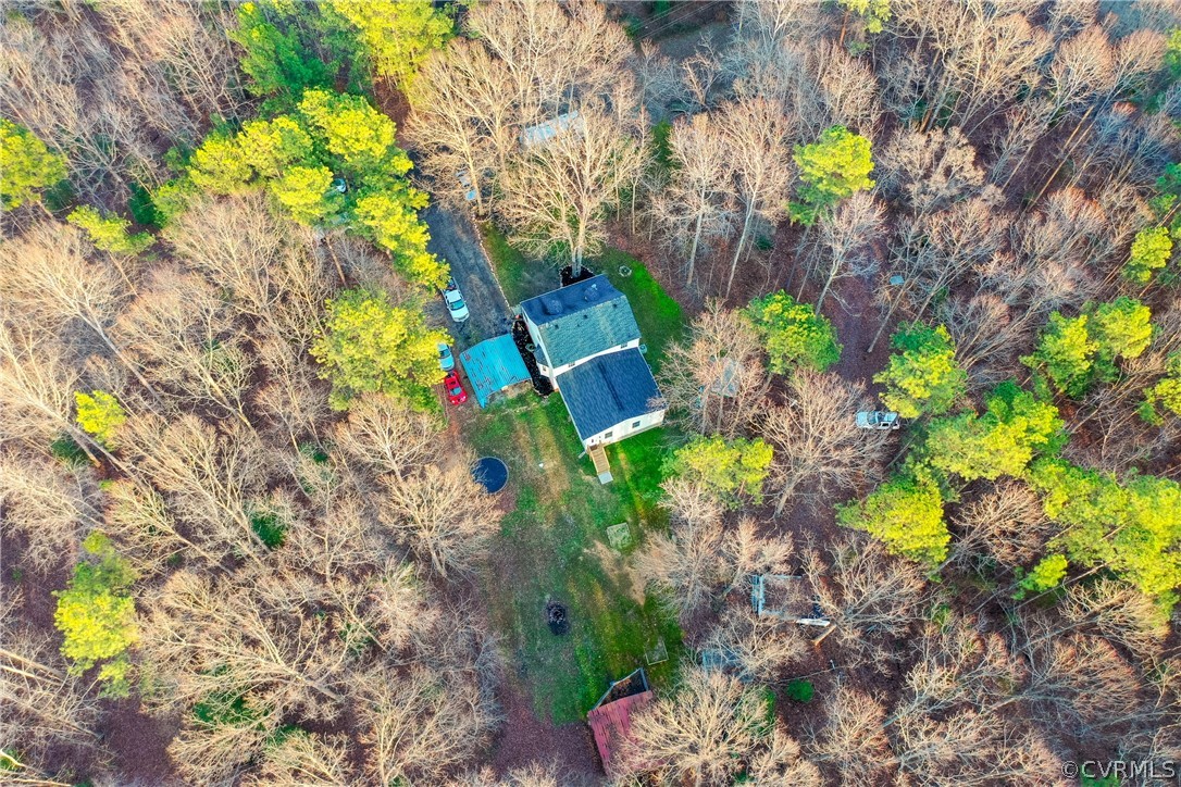 16190 Glebe Road Dewitt, VA 23840 - Photo 41 of 42 a plant that is in a garden