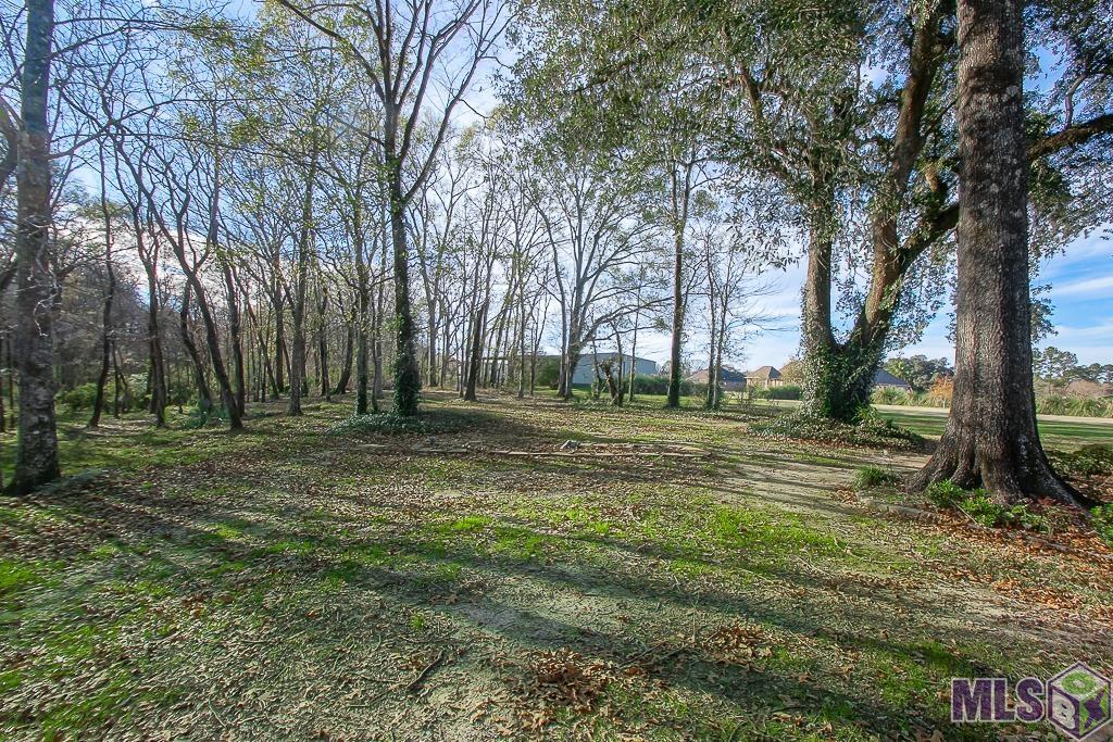 24905 Highway 1032 Denham Springs, LA 70726 - Photo 28 of 39