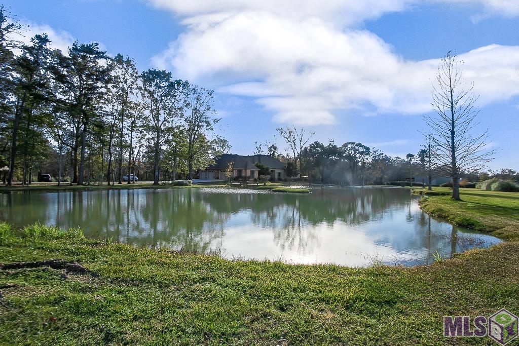 24905 Highway 1032 Denham Springs, LA 70726 - Photo 34 of 39