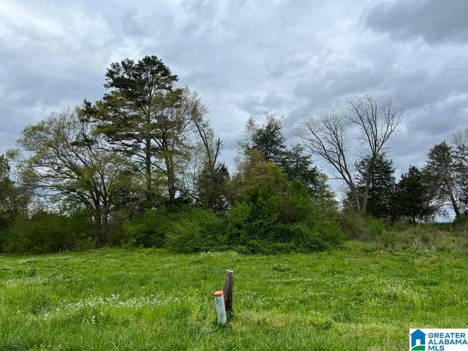 650 Peaceful Valley Road Eastaboga, AL 36260 - Photo 4 of 5