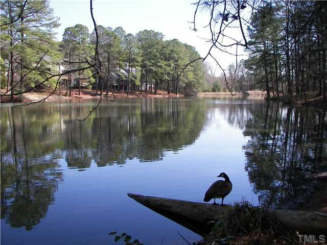 641 Pine Ridge Place Raleigh, NC 27609 - Photo 9 of 25 a lake view with a pond