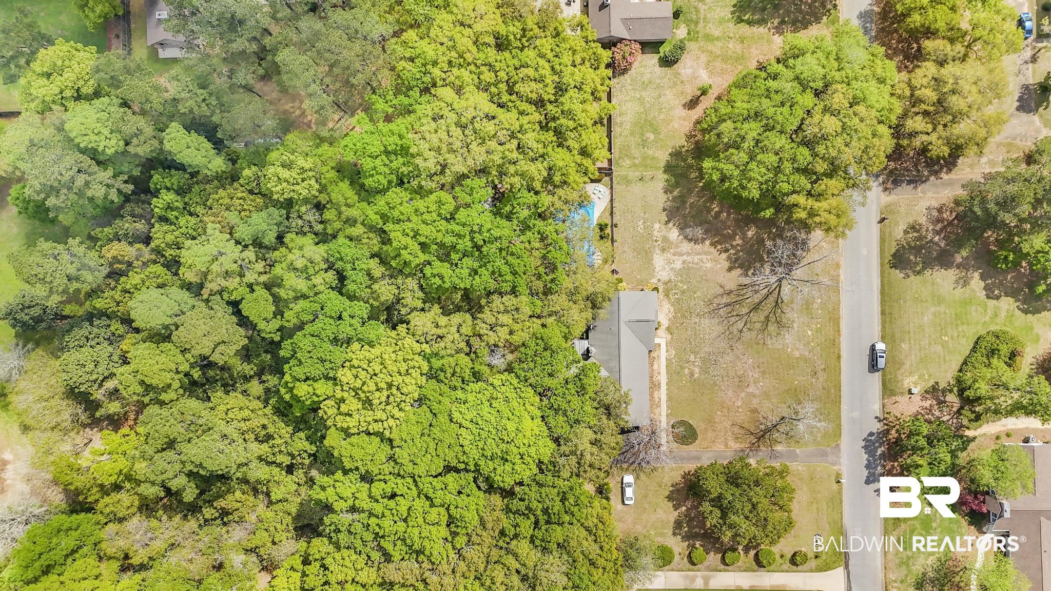 10207 Plantation Drive Daphne, AL 36526 - Photo 16 of 48 Bird's eye view