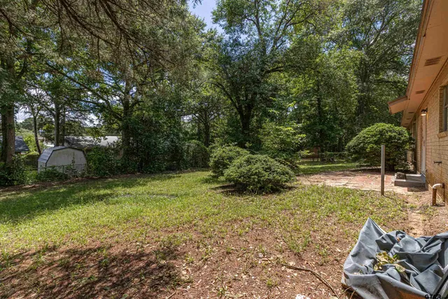 a view of backyard with outdoor space