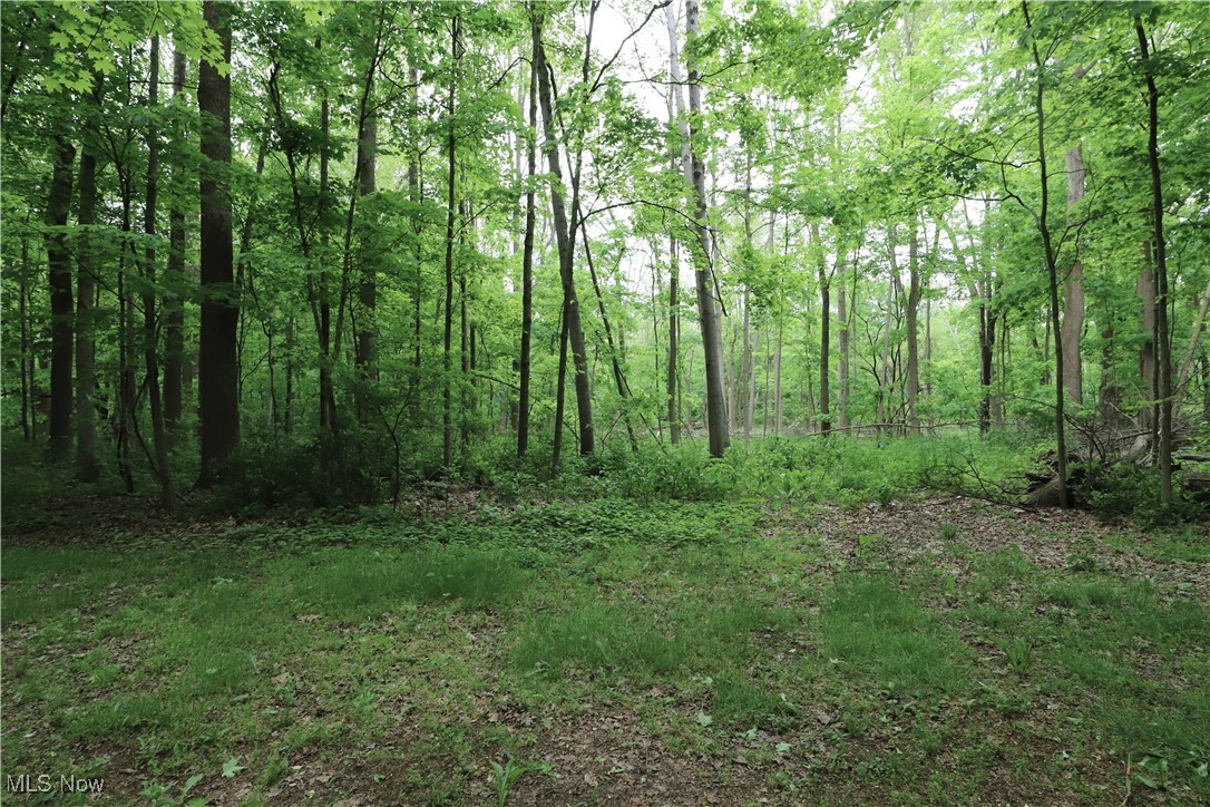 6191 Root Road Spencer, OH 44275 - Photo 20 of 26 View of wooded area